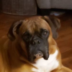 Meet your Posher, April